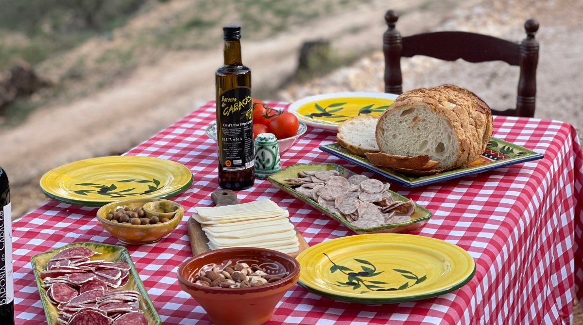 Taula parada enmig dels olivers - oleoturisme