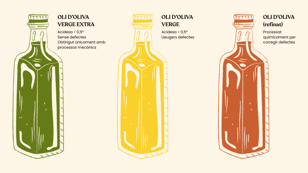 Comparativa entre oli d’oliva verge extra, oli verge i oli refinat amb punts clau de qualitat i acidesa

